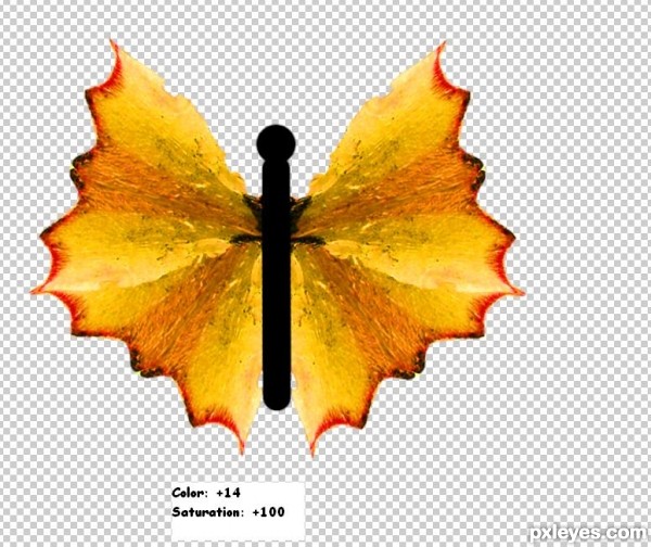 Creation of Butterfly: Step 7